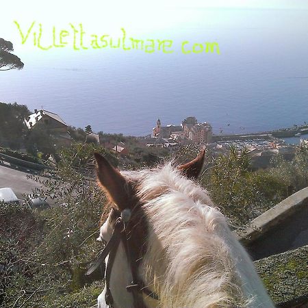 Villetta Sul Mare Camogli Buitenkant foto