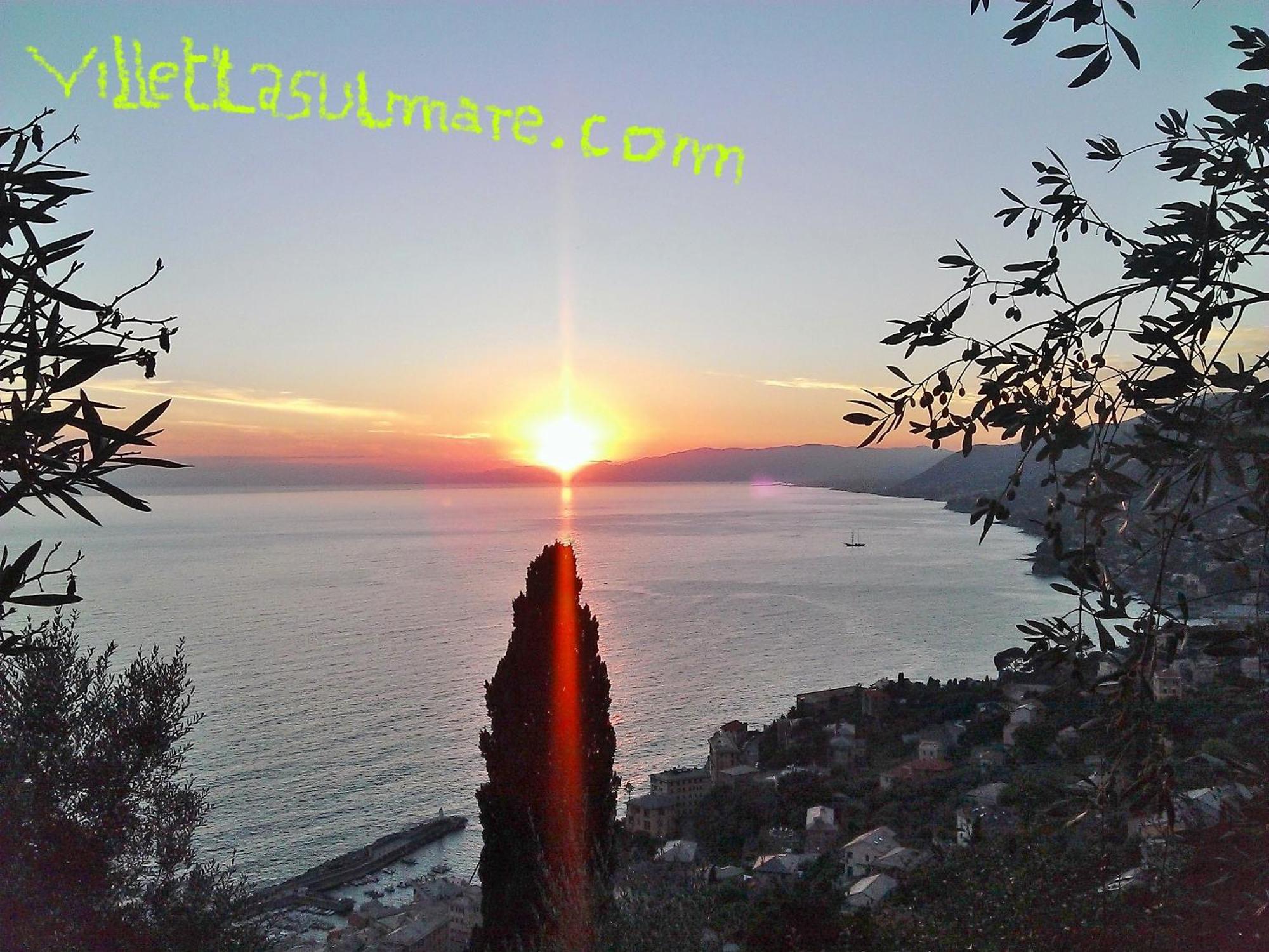 Villetta Sul Mare Camogli Buitenkant foto