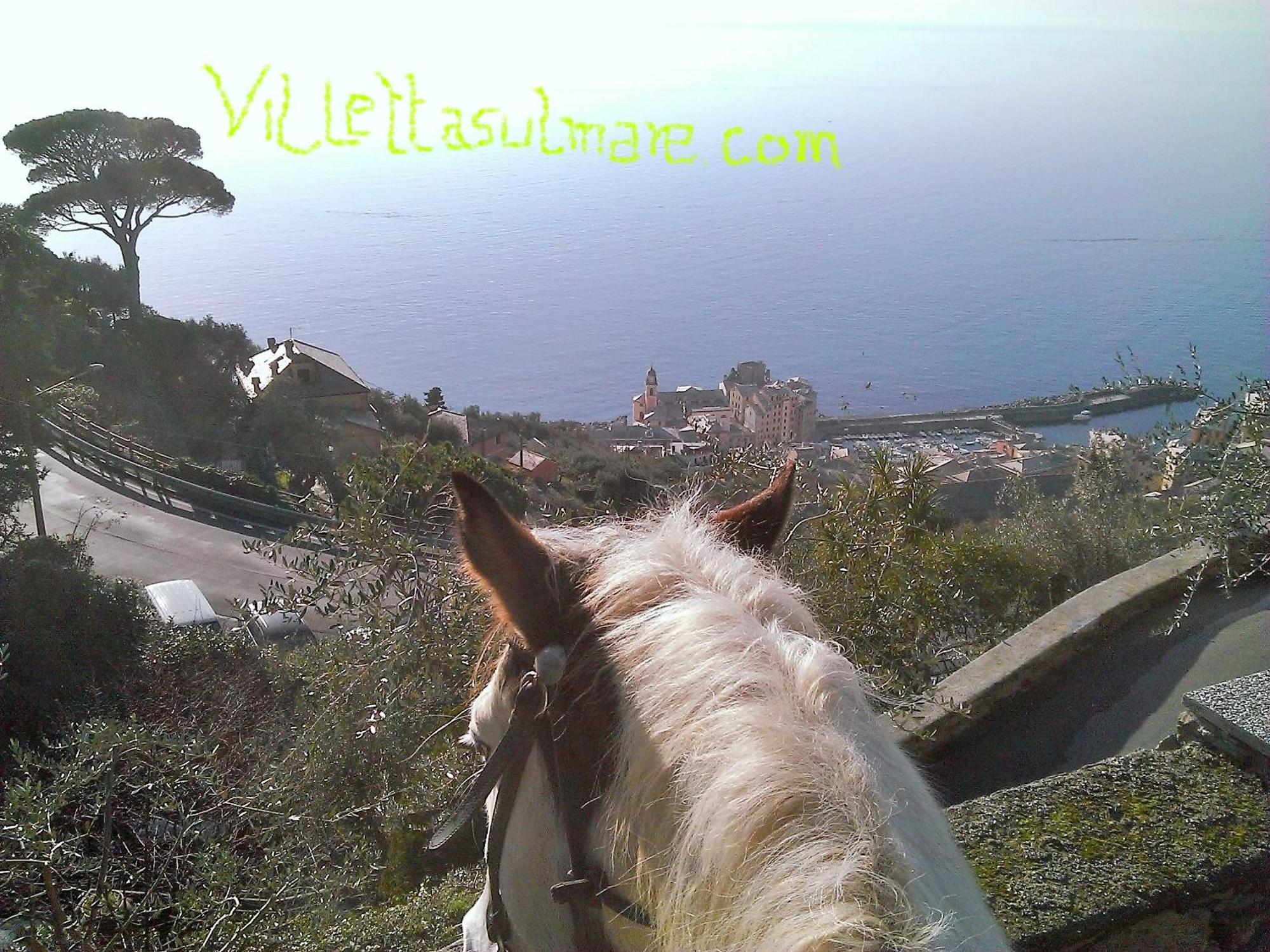 Villetta Sul Mare Camogli Buitenkant foto