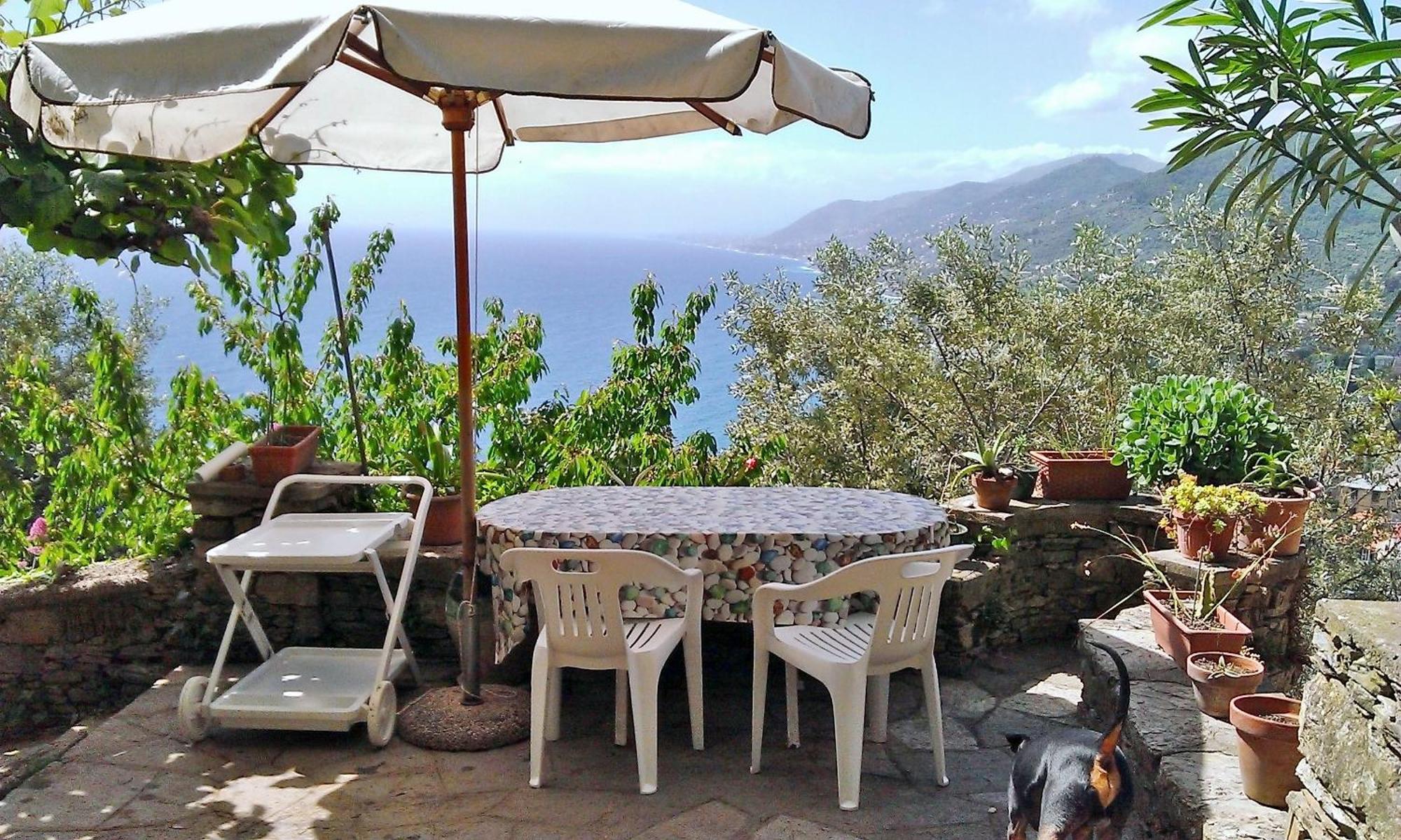 Villetta Sul Mare Camogli Buitenkant foto